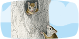 chatting-squirrels_160x80