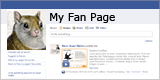 fanpage-squirrel_160x80
