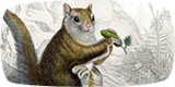 giving-squirrel_160x80