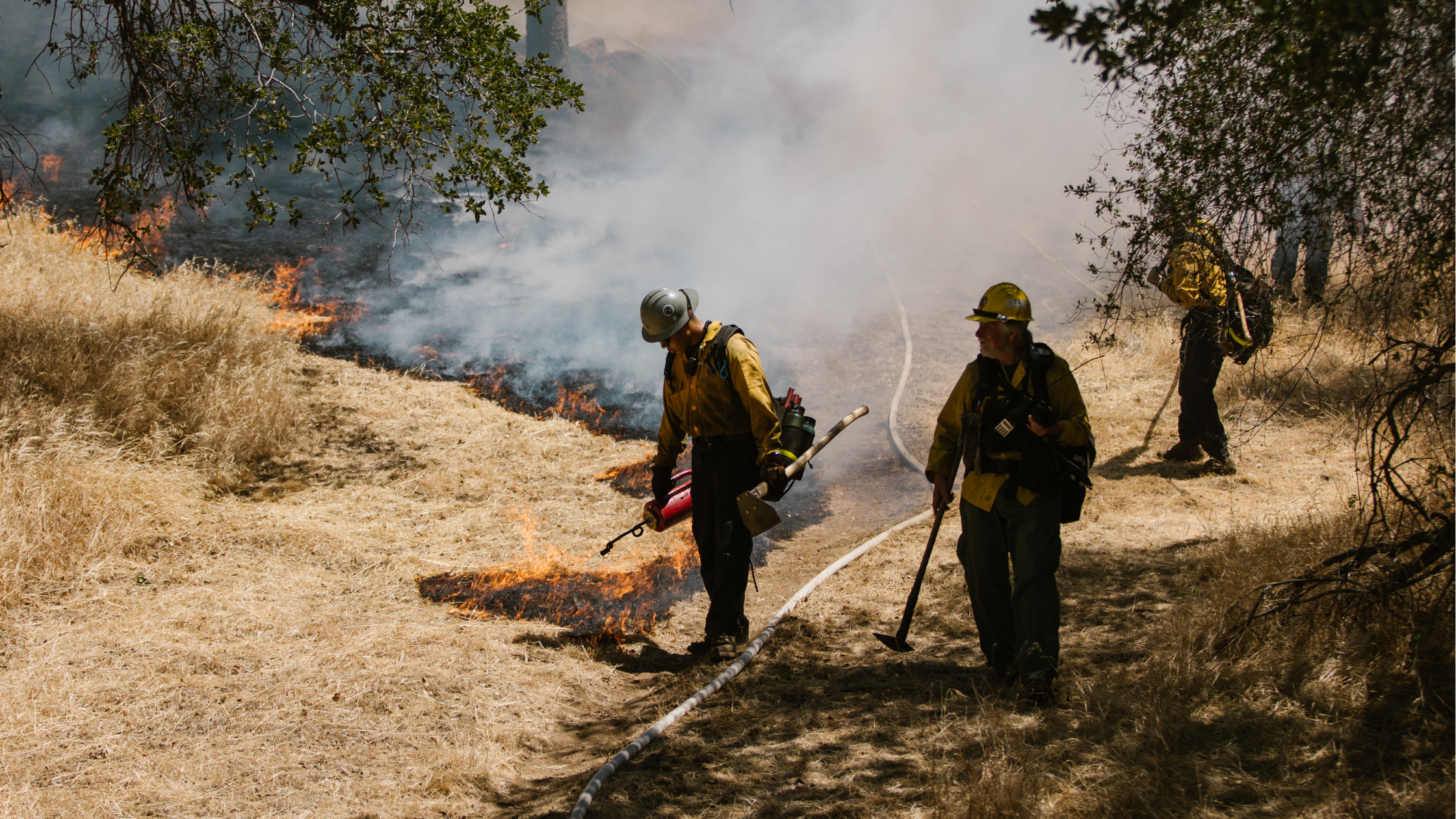 Fundraising Tips for Emergency Wildfire Relief