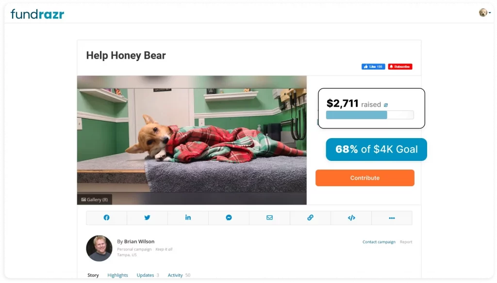 screen-help-honey-bear-1