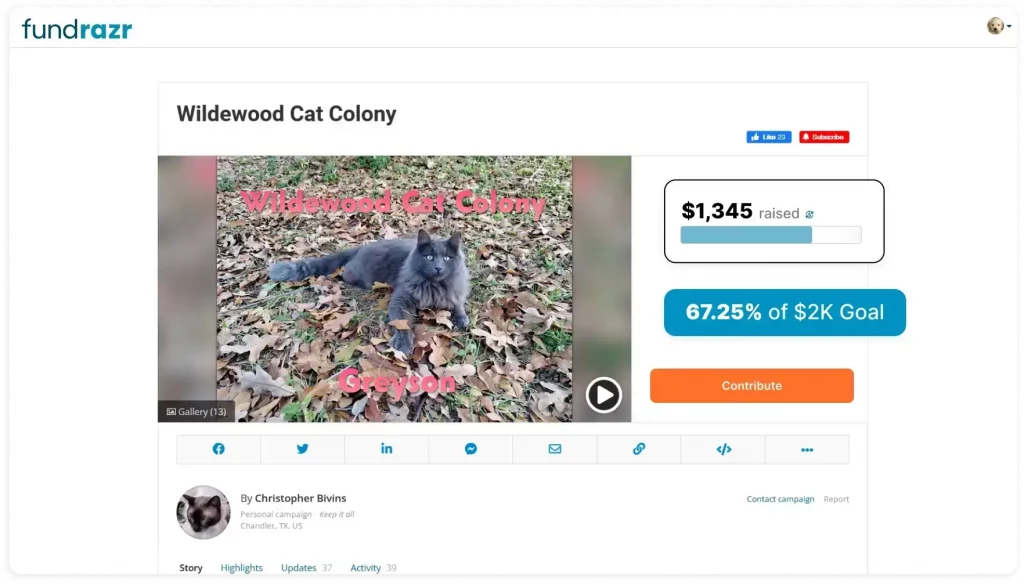 screen-wildwood-1-1-1